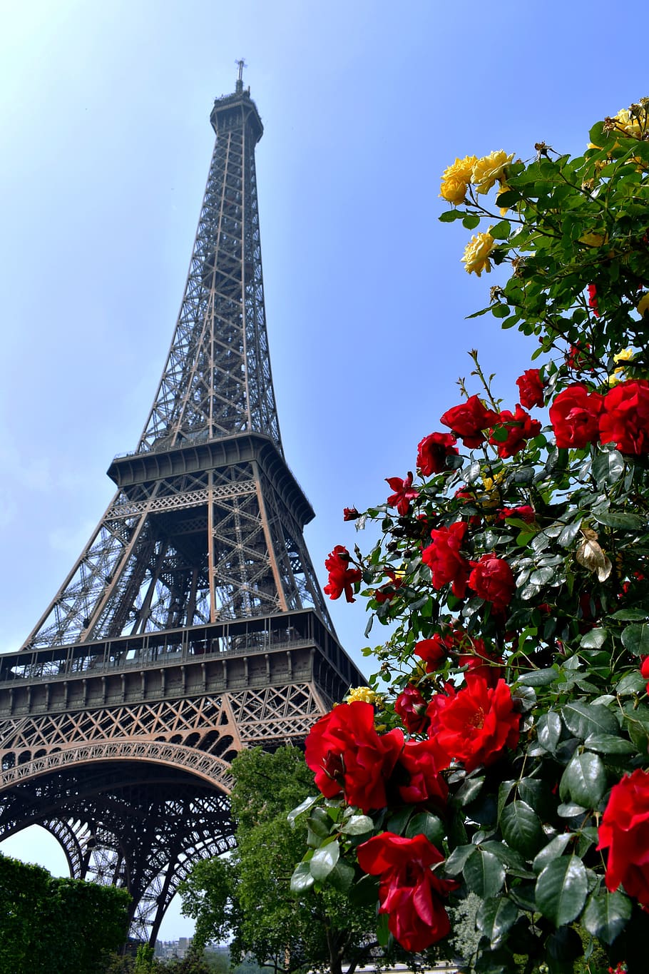 architecture, built structure, plant, tower, travel destinations HD wallpaper