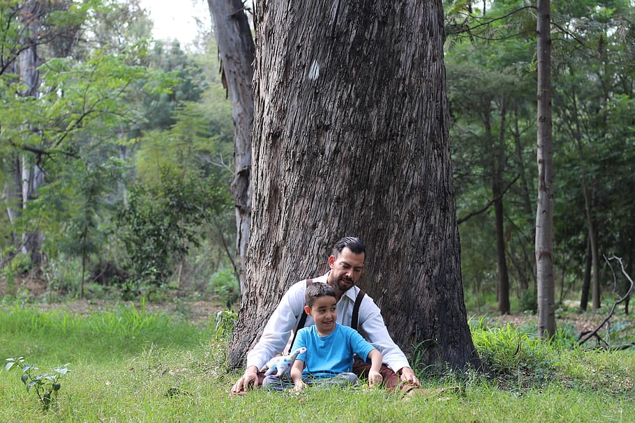 child, tree, nature, forest, man, mexican, latino, person, forests HD wallpaper