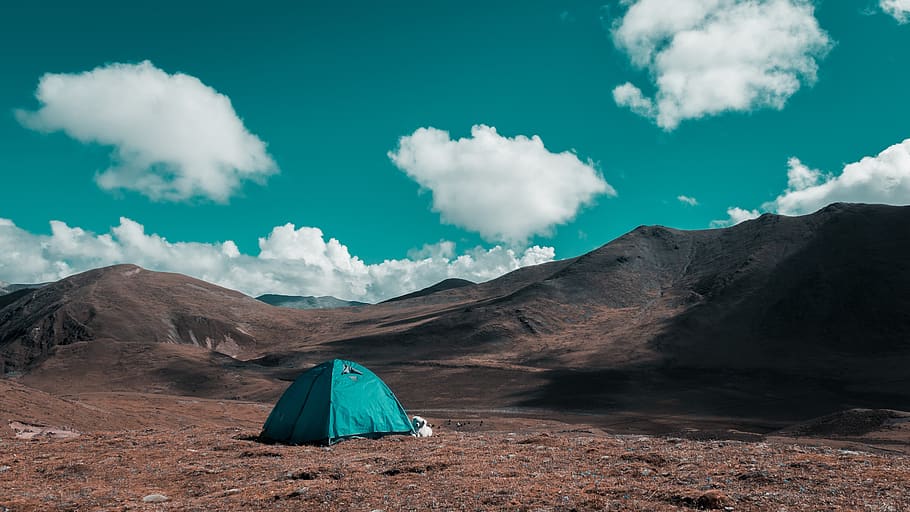 cloud, tent, grassland, sky, color, tibet, open, dog, company, HD wallpaper