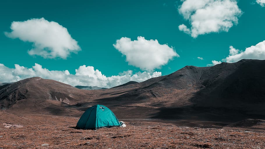 cloud, tent, grassland, sky, color, tibet, open, dog, company HD wallpaper