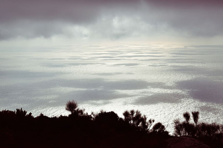 italy, elba, cloud - sky, tree, plant, beauty in nature, scenics - nature HD wallpaper