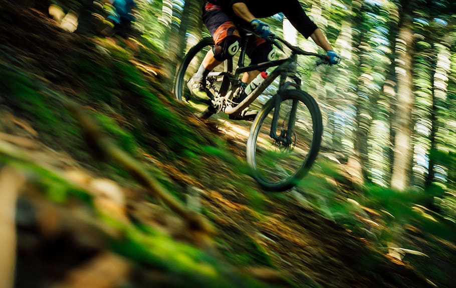 person riding hardtail bike beside trees at daytime, forest, wood