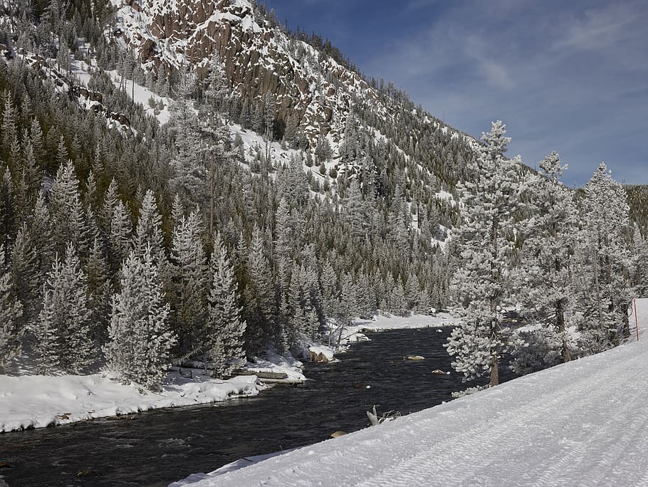 snow, winter, scene, stream, trees, mountains, outdoors, scenic HD wallpaper