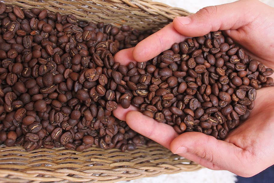 coffee, drink, caffeine, cafe, fresh, drinks, cappuccino, aroma HD wallpaper