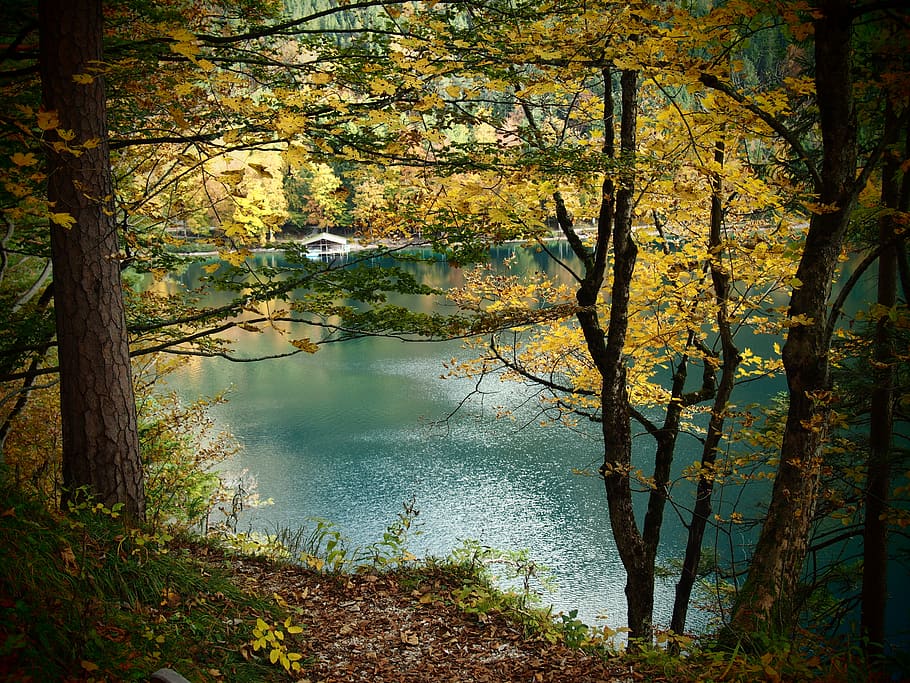 lake, fall, forest, yellow, blue, green, trees, nature, autumn HD wallpaper