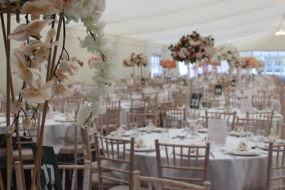 wedding, bride, marriage, table, plant, chair, indoors, seat HD wallpaper