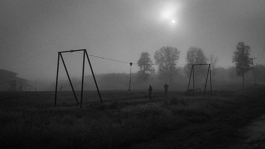 foh, morning, mist, tree, children, playing, autumn, fog, sport HD wallpaper