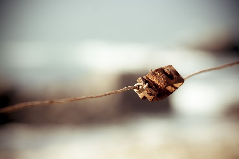 barbed wire, rust, focus on foreground, close-up, dry, plant HD wallpaper