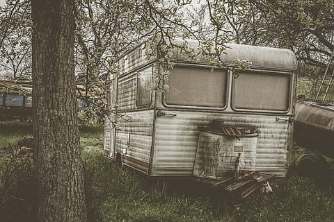 white camping trailer, vehicle, transportation, truck, caravan HD wallpaper