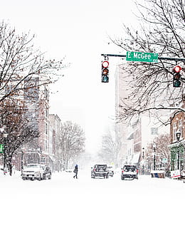 traffic light turn red light during daytime, snow, winter, nature HD wallpaper