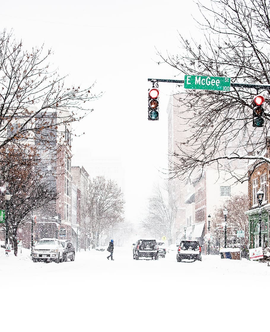 traffic light turn red light during daytime, snow, winter, nature HD wallpaper