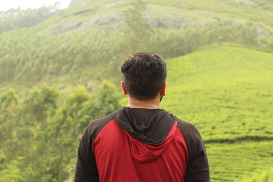 india, munnar, rear view, one person, headshot, nature, men HD wallpaper