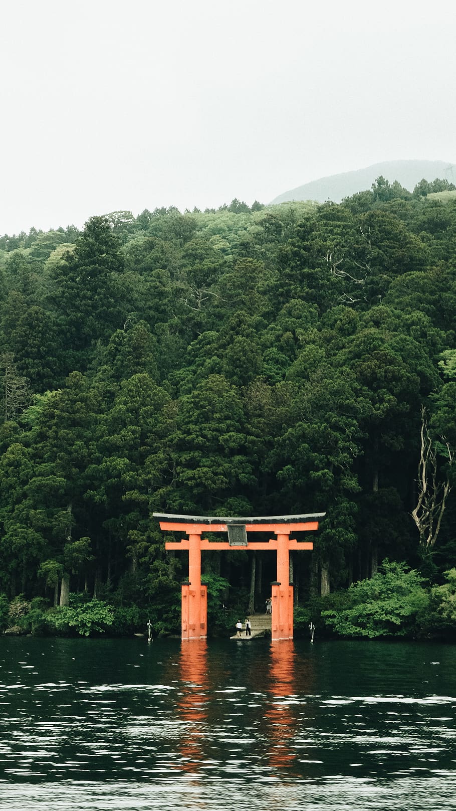 gate, torii, architecture, building, tree, plant, pillar, column HD wallpaper