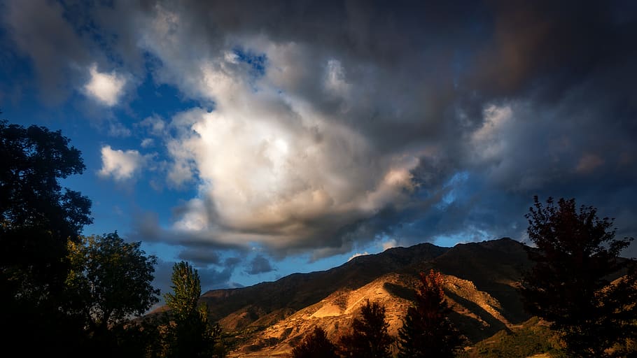 nature, outdoors, weather, cloud, sky, cumulus, abies, fir HD wallpaper