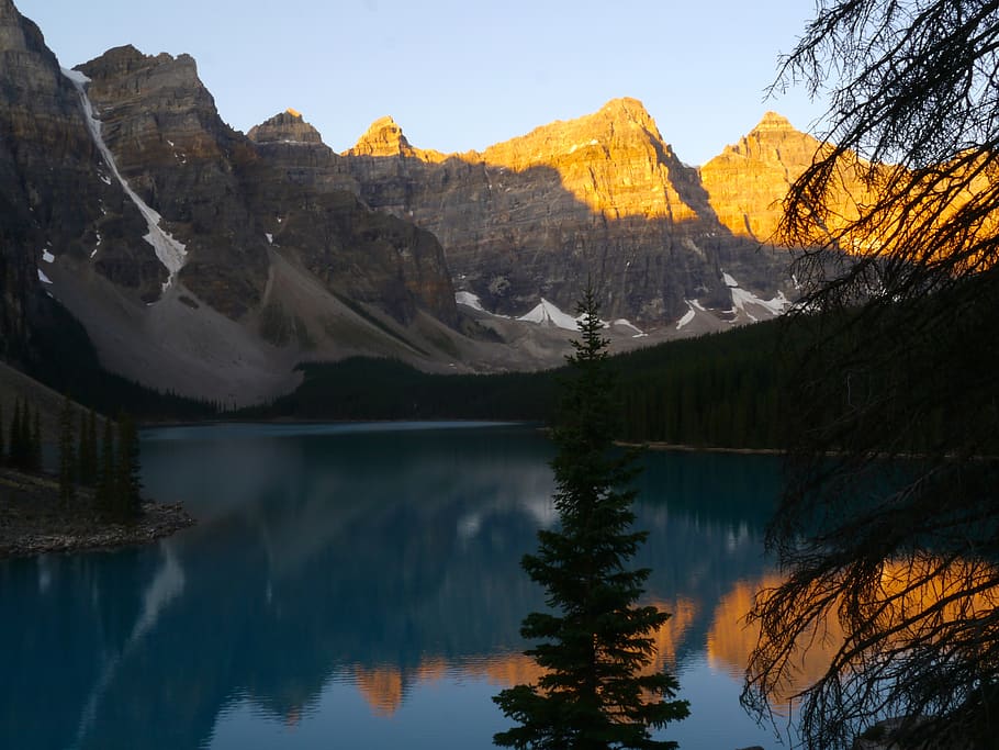 tree, plant, nature, abies, fir, outdoors, water, mountain HD wallpaper