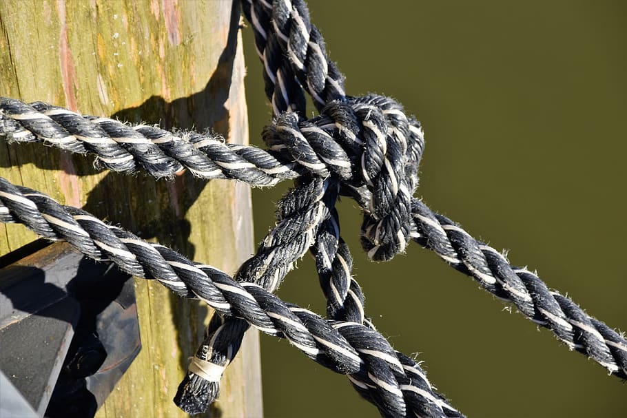 black ropes, knot, animal, bird, am hafen 23, germany, glückstadt HD wallpaper
