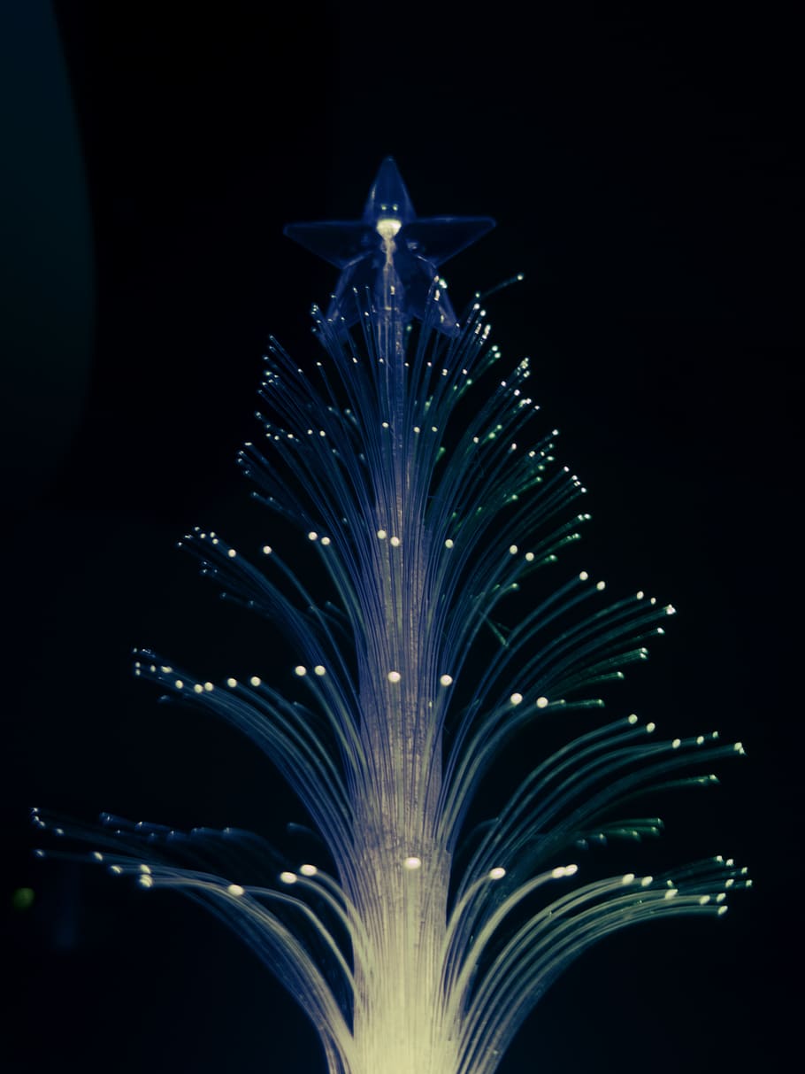 lights, christmas, tree, pine, fiber, bokeh, darkness, blacks HD wallpaper