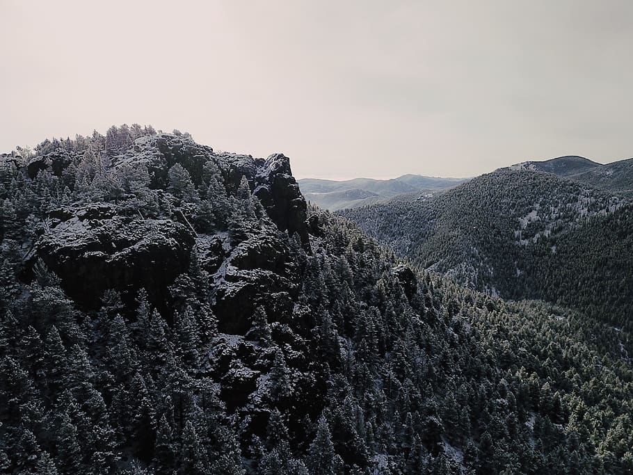 trees, mountain, cliff, background, wallpaper, mountains, rocky mountain HD wallpaper