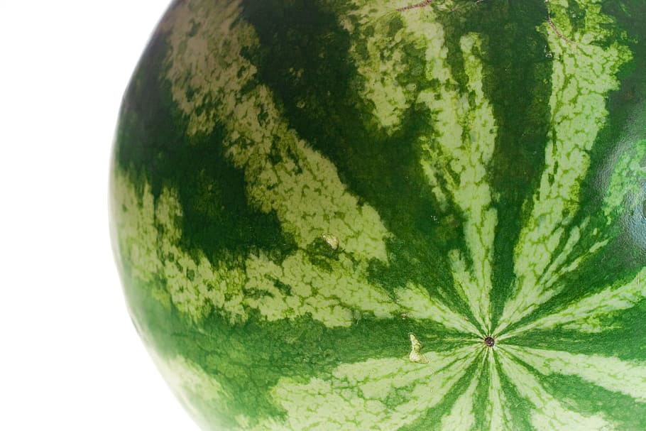watermelon, isolated, dessert, white, dietfood, sweetfood, studio HD wallpaper
