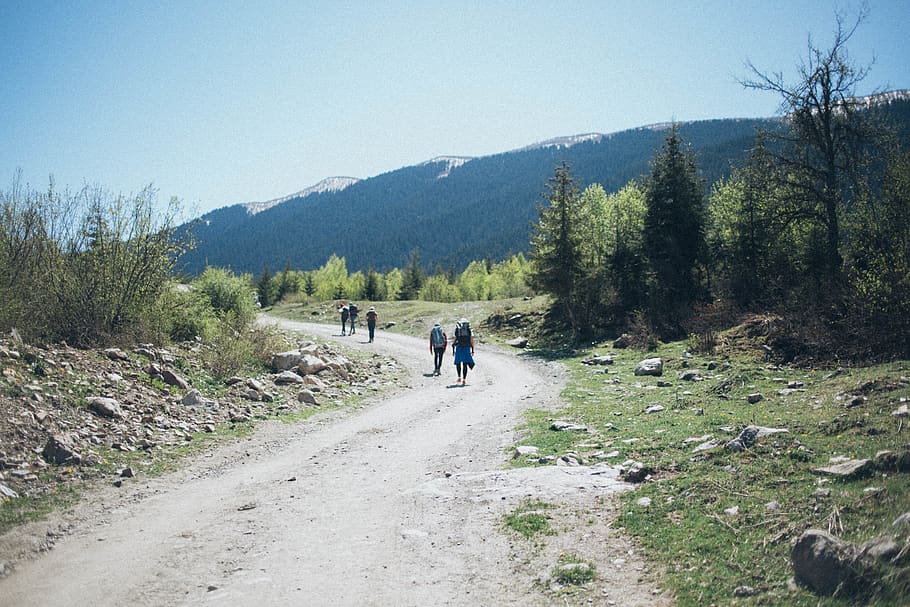 Five Person Walking on Farm Road Under Clear Blue Sky, daylight HD wallpaper