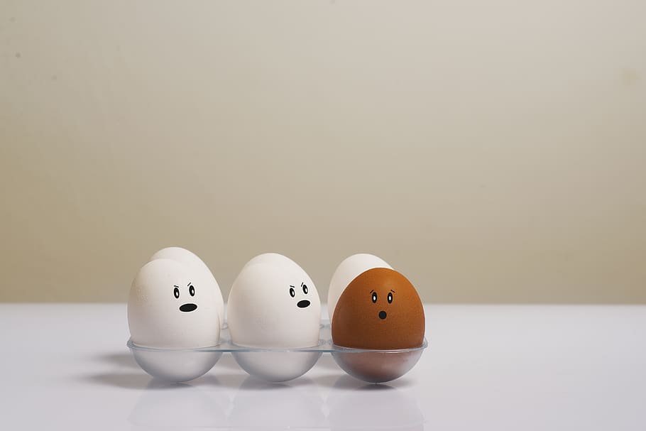 Eggs in Tray on White Surface, artsy, chicken eggs, color, concept