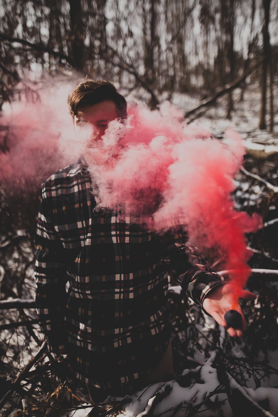 trees, plant, nature, forest, wood, people, man, smoke, dark HD wallpaper