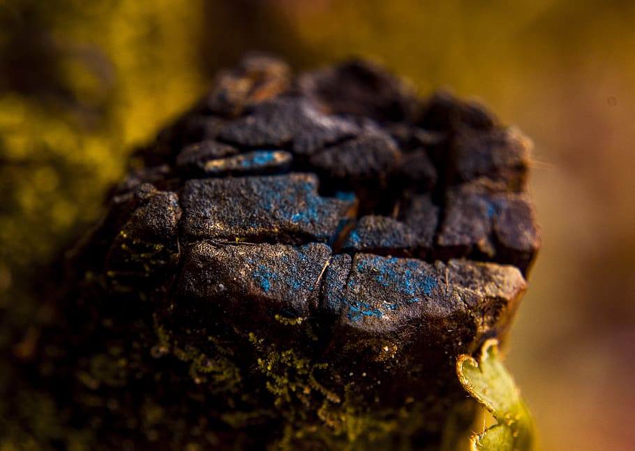 Macro Photography of Brown Stone, rock, close-up, textured, no people HD wallpaper