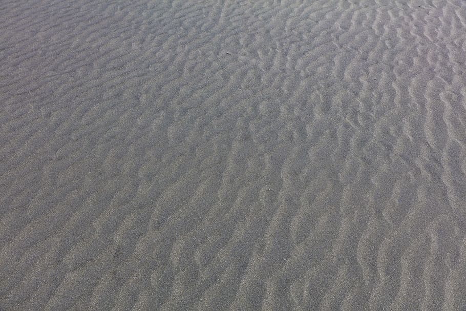 brown seashore, new zealand, piha beach, wafe, sand, full frame HD wallpaper