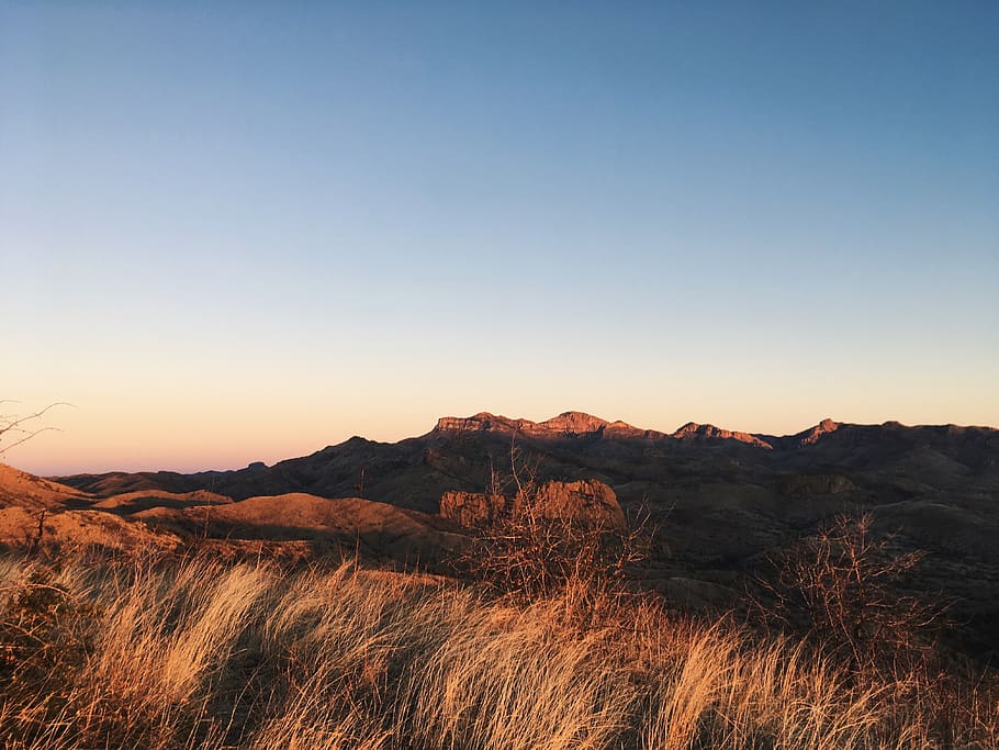 grass on mountain, outdoors, field, grassland, united states HD wallpaper
