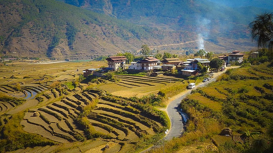 bhutan, punakha, punaka, village, himalayans, landscape, agriculture, HD wallpaper