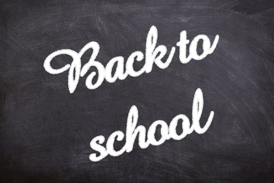 school, education, study, learning, studying, text, blackboard HD wallpaper