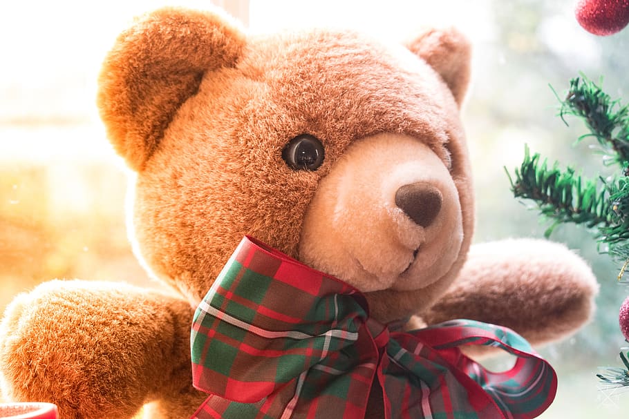 Brown Bear Plush Toy, children toys, christmas decorations, close-up, HD wallpaper