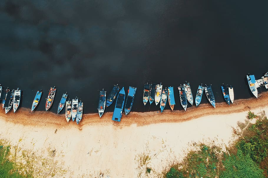 Omega on the shore