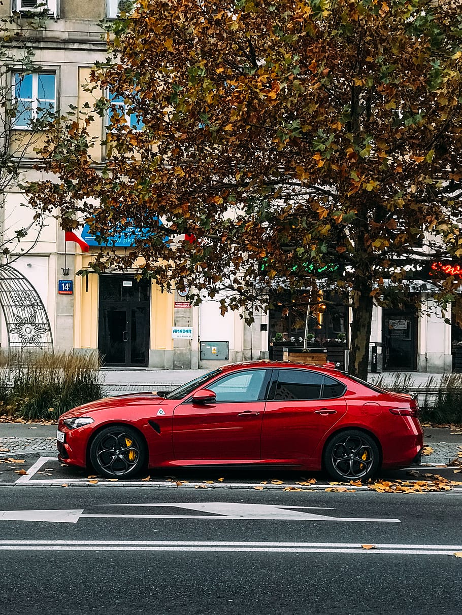 architecture, auto, automobile, building, car, daylight, lights HD wallpaper