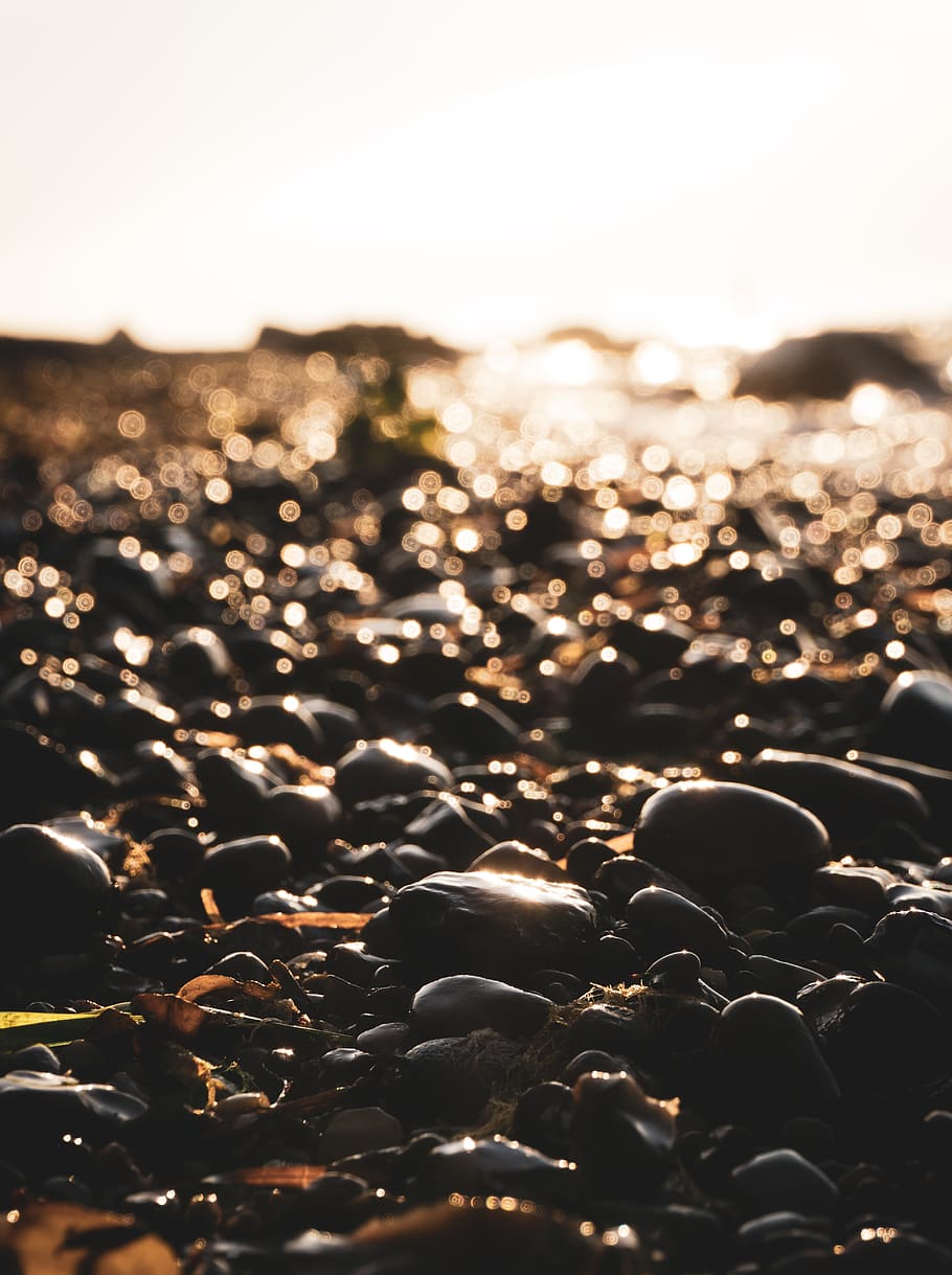 wet, stones, backlight, bokeh, sunset, baltic, sea, germany HD wallpaper