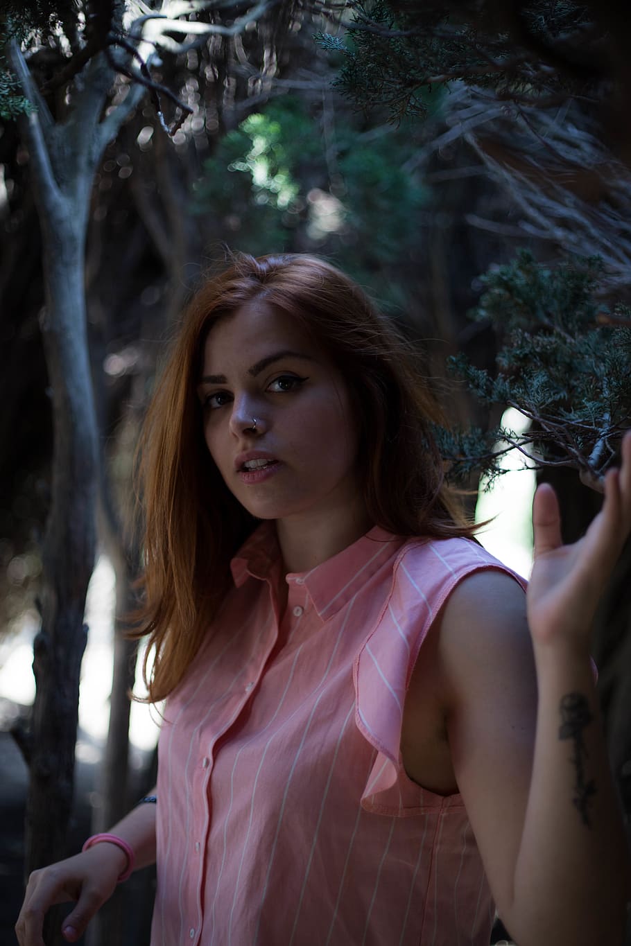 spain, barcelona, light, forest, nature, iso, portrait, trees HD wallpaper