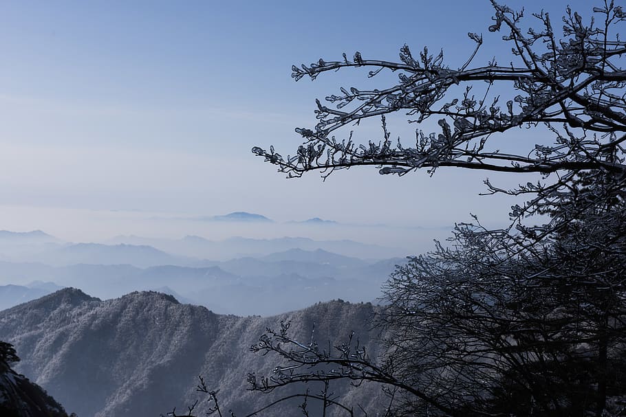 leafless trees near mountain ranges, outdoors, nature, peak, plant HD wallpaper
