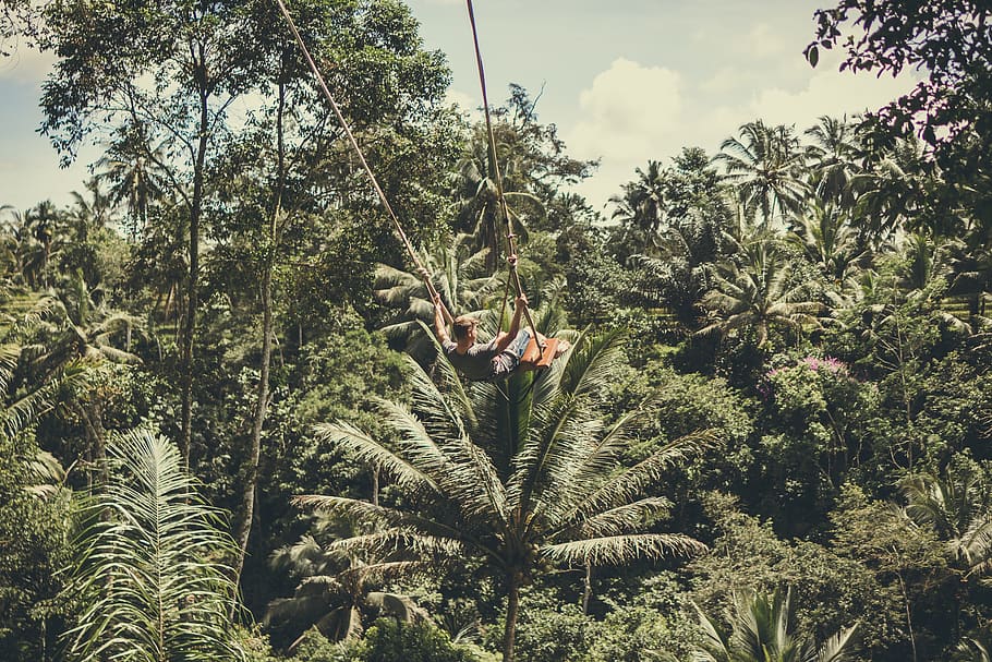 Man Holding on Rope in Forest, adrenaline, environment, hanging HD wallpaper