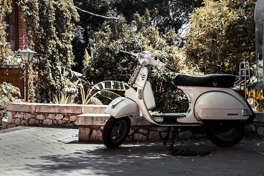 white motor scooter, tree, mode of transportation, plant, land vehicle HD wallpaper