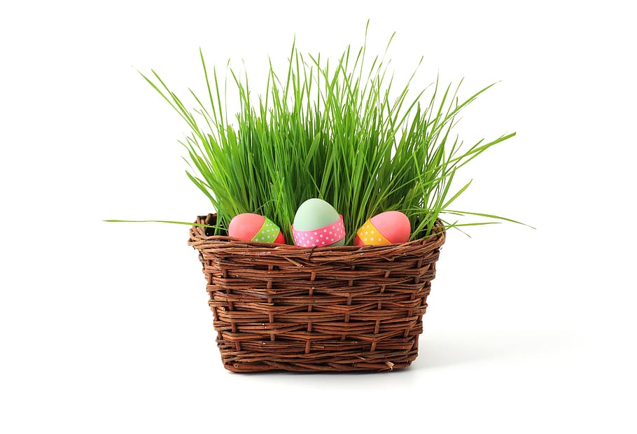 easter, eggs, basket, celebrate, celebration, colorful, easter egg HD wallpaper