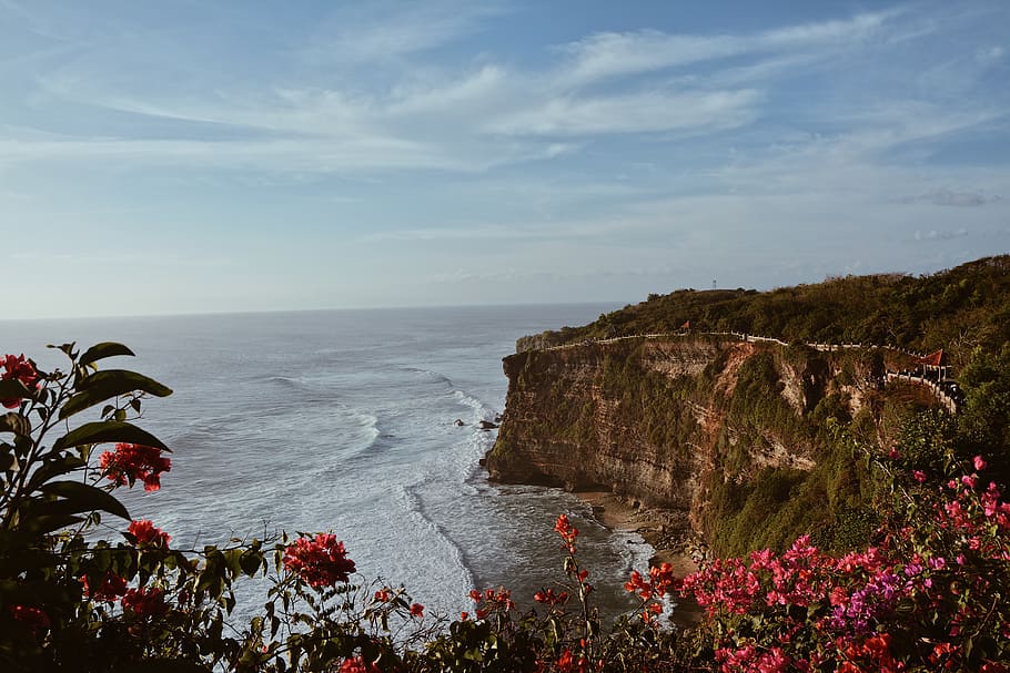 brown cliff by the ocean, beauty in nature, sea, sky, water, plant HD wallpaper