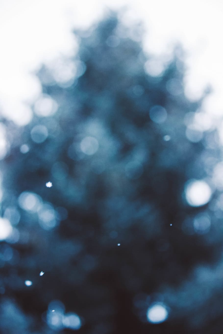 green tree, defocused, backgrounds, no people, christmas, abstract HD wallpaper