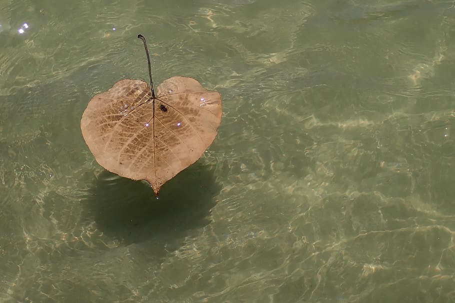 thailand, phuket, water, waterfront, high angle view, nature HD wallpaper