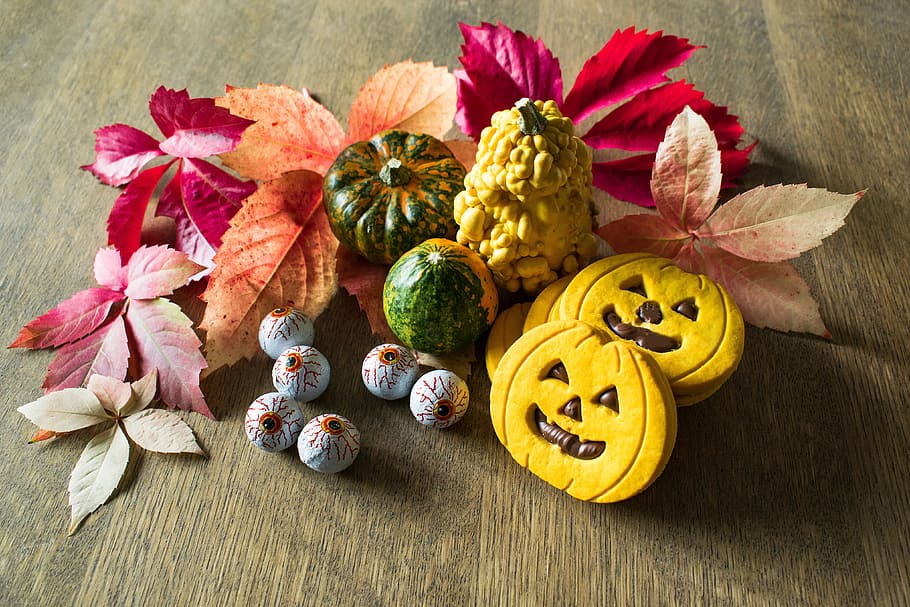 Halloween Pumpkins, various, autumn, fall, flower, flowering plant HD wallpaper
