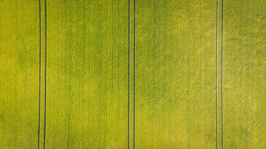 green grass field, drone view, aerial view, line, pattern, symmetry, HD wallpaper