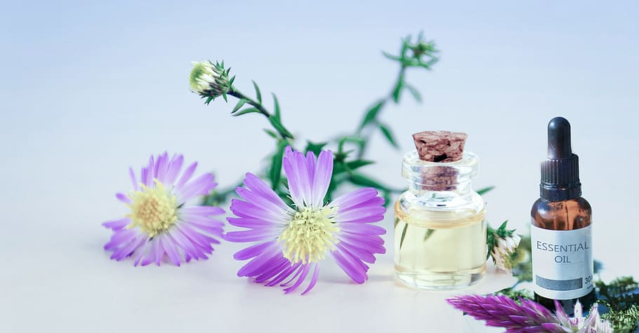 Scene of essential oils in a dropper and jar with botanical ingredients.