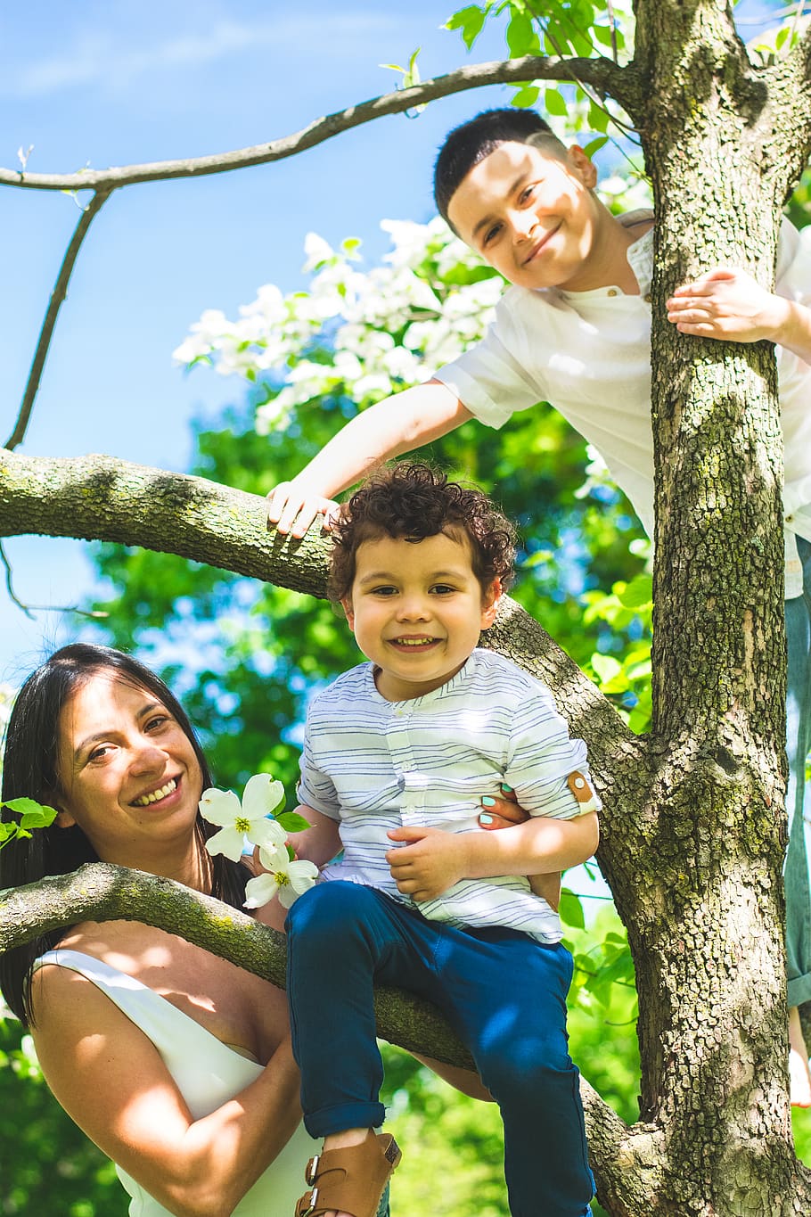 Family posing on a tree, children, cute, enjoyment, facial expression HD wallpaper