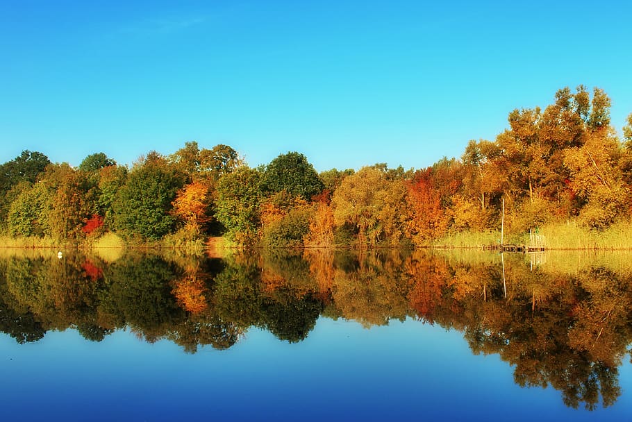 autumn, trees, colorful, nature, forest, landscape, bank, water reflection, HD wallpaper