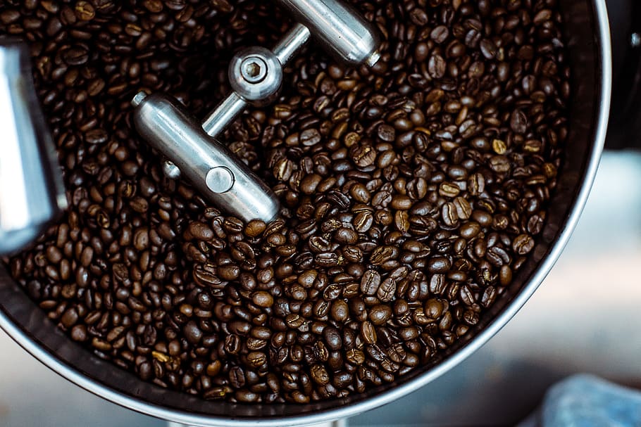 coffee seeds, bean, vegetable, flora, food, plant, produce, xining HD wallpaper