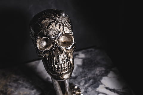 Halloween Skulls Decorations, autumn, fall, spooky, scary, human skeleton HD wallpaper